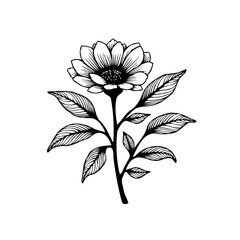 Elegant floral illustration displaying beautiful blooms and leaves with striking black and white simplicity creating a captivating botanical artwork