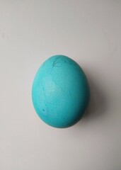 Turquoise Colored Egg on White Background