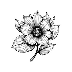 Elegant floral design features delicate petals and leaves creating a timeless botanical illustration perfect for artistic projects