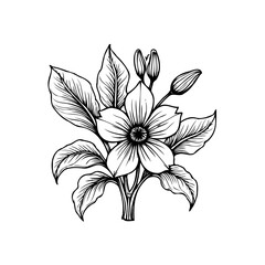 Elegant botanical illustration showcasing delicate flower blossom with intricately detailed leaves, buds, and stems in monochrome