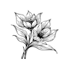 Elegant floral illustration with delicate black lines showcasing blooming blossoms and graceful leaves in harmonious composition of nature