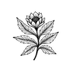 Detailed floral illustration with intricate line work showcasing a delicate flower and leaves artfully arranged