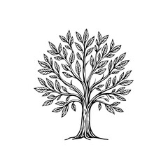 Elegant tree illustration with intricate leaf details showcasing nature's beauty and symbolic growth representation in a minimalist style
