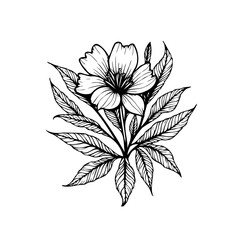 Elegant floral design with delicate petals and intricate leaves showcases botanical art and nature's beauty