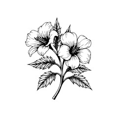 Detailed botanical illustration featuring delicate hibiscus flowers and intricate leaves evoking a sense of natural beauty
