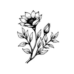 Elegant botanical illustration featuring a blooming flower leaves and a budding branch in black and white ink