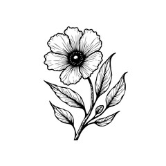 Elegant botanical illustration showcases a delicate flower with intricate details creating a visually appealing graphic element drawing attention