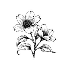 Elegant floral illustration showcasing delicate flowers and leaves in a detailed sketch for graphic resources