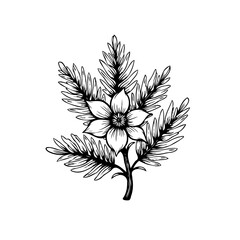 Elegant botanical illustration showcasing delicate flower with intricate details and feathery leaves creates captivating visual