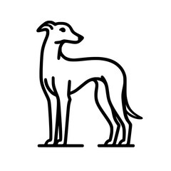 Dog standing outline illustration | Sighthound / Greyhound / Whippet / Italian Greyhound 