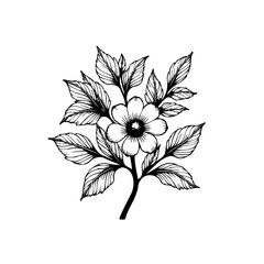 Elegant floral branch with delicate petals and leaves creating a harmonious botanical illustration art
