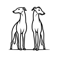 Pair of dogs outline illustration | Sighthound / Greyhound / Whippet / Italian Greyhound 