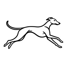 Running Dog Illustration - Sighthound / Greyhound / Whippet / Italian Greyhound 
