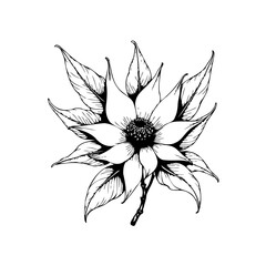 Elegant monochrome floral illustration showcases a delicate flower with striking leaf patterns a captivating botanical artwork