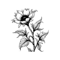 Elegant flower sketch showcasing intricate details of petals stem and leaves creating a captivating monochrome botanical illustration