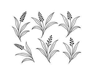 Botanical Vector Art: Minimalist Line Drawing of Floral Elements in Black and White, A Simple Flower Illustration, Clean and Elegant, Simple Line Art