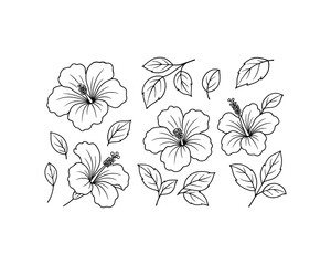 Hibiscus Outline - Linear Black and White Vector Flower Illustration - Minimalist Floral Drawing for Design Elements and Isolated Botanical Artwork ©  MVectors