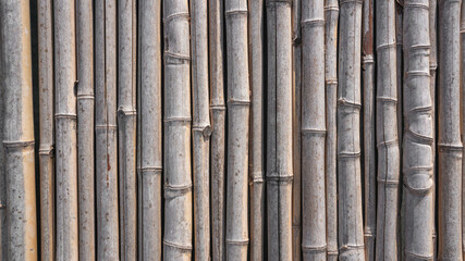 bamboo pattern seamless texture background