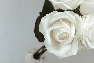 Fototapeta premium Elegant white roses in a simple vase on a neutral background