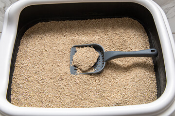 Cat litter box filled with clean sandy cat litter ready for use, clumps and absorbs moisture