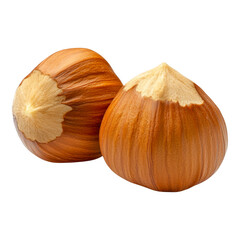 Two whole hazelnuts with brown shells and light tips isolated on transparent background
