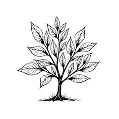 Hand drawn tree illustration showcasing intricate leaf details and a strong trunk symbolising nature's resilience and growth