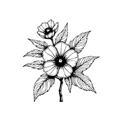 Elegant floral illustration showcasing delicate flower and intricate leaf details in a minimalist design style