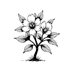 Hand drawn floral illustration featuring delicate flowers and foliage in a black and white botanical sketch