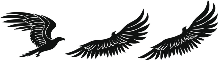 Obraz premium Colorful Bird and Wing Designs Vector Illustrations for Print and Web