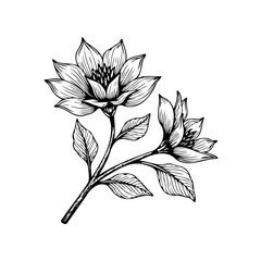 Detailed floral illustration featuring elegant flowers, leaves and stem, creating a captivating botanical design in monochrome