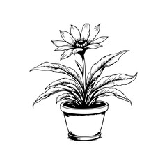 Elegant potted flower illustration showcasing intricate line work perfect for botanical themes and creative projects enhancing artistic expression