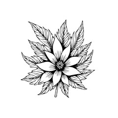Detailed botanical illustration showcasing a stylized flower with intricate leaf patterns artistic monochrome elegance presented on white background