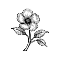 Elegant botanical illustration featuring a detailed flower blossom with stylized leaves on white background design