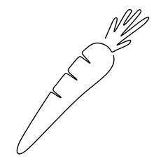 line art carrot