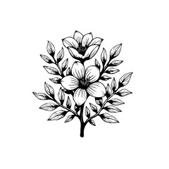 Elegant floral design showcasing delicate blossoms and foliage creating a beautiful botanical illustration art