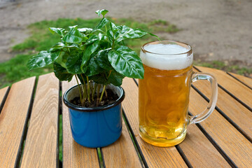A glass of beer with foam and a green potted plant on a wooden table outdoors, with a blurred...