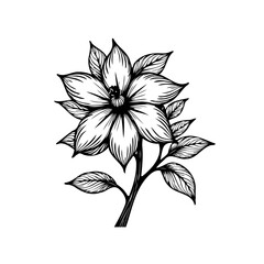 Exquisite detailed flower vector illustration a delicate artwork for floral designs and botanical prints highlighting its organic nature