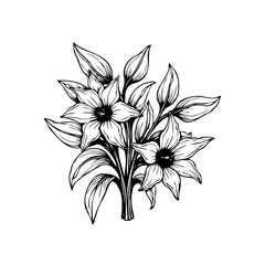 Elegant floral bouquet in black and white vector illustration with botanical details of plant