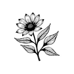 A delicate floral ink drawing showcasing the beauty of a black and white flower illustration nature