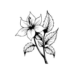 Elegant floral illustration showcasing a blooming flower with detailed leaves and delicate lines, providing beauty