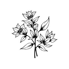 Naklejka premium Elegant floral illustration with delicate flowers leaves and stems creating a nature inspired composition