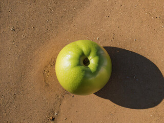 green apple on the beach