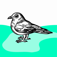 Hand-drawn illustration of a bird, black and white line art, teal background