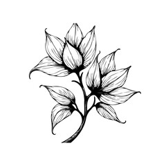 Elegant hand drawn floral illustration showcasing botanical art with beautiful leaves and intricate lines design