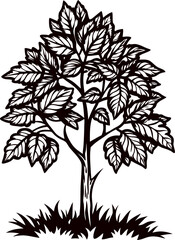 Obraz premium Detailed hand drawn tree with dense foliage and textured bark isolated on white background illustration