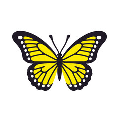 Obraz premium Yellow Butterfly Vector Illustration-Elegant Insect Design-Black and Yellow Wings-Beautiful Butterfly Clipart-Nature Inspired Graphic-Butterfly Art for Projects