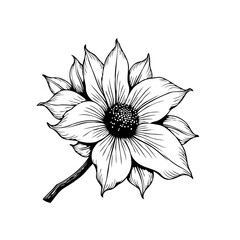 Elegant flower drawing with intricate details showcasing botanical illustration for nature lovers and artistic expression