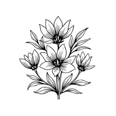 Elegant floral illustration: delicate flower arrangement with intricate line work perfect for botanical designs and artistic projects
