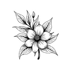 Elegant botanical flower drawing showcasing intricate details of petals and leaves in monochrome style