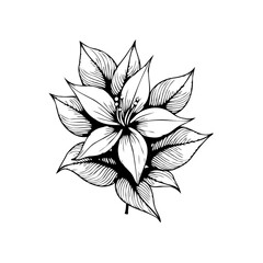 Elegant floral design with intricate details for fashion and decor showcasing nature's beauty and simplicity